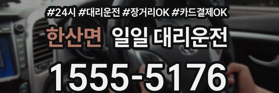 한산면 일일 대리운전