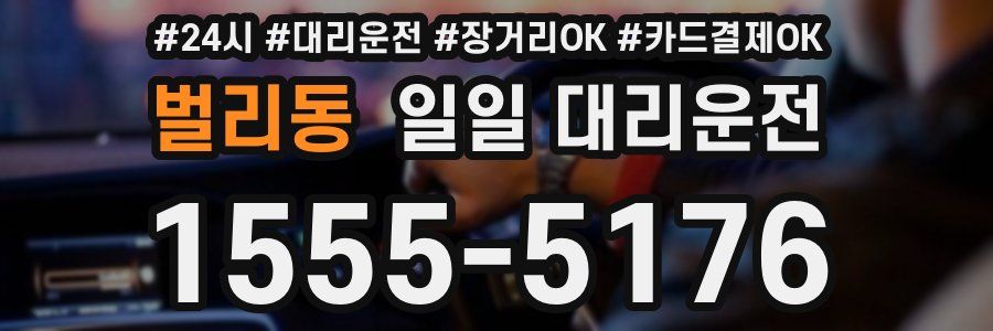 벌리동 일일 대리운전