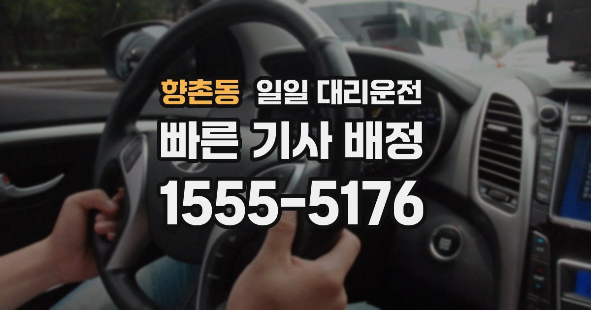 향촌동 일일 대리운전