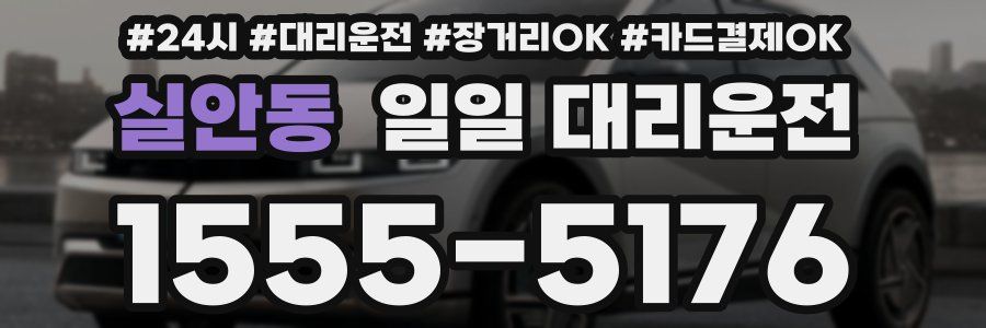 실안동 일일 대리운전