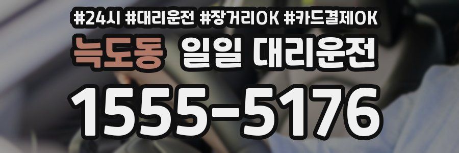 늑도동 일일 대리운전