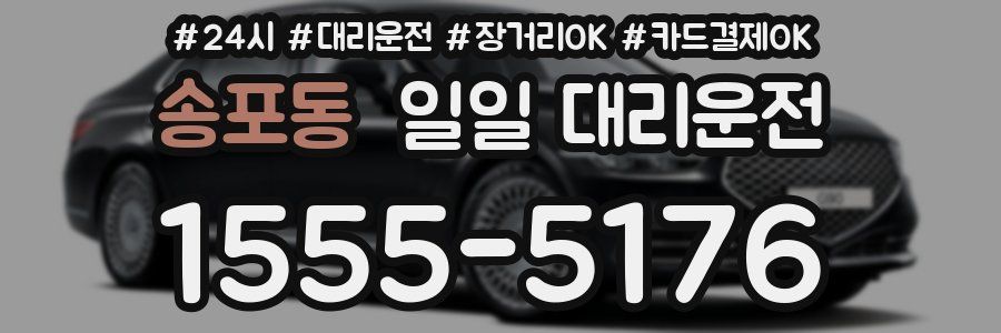 송포동 일일 대리운전
