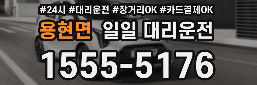 용현면 일일 대리운전