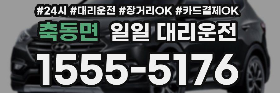 축동면 일일 대리운전