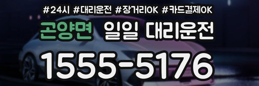 곤양면 일일 대리운전