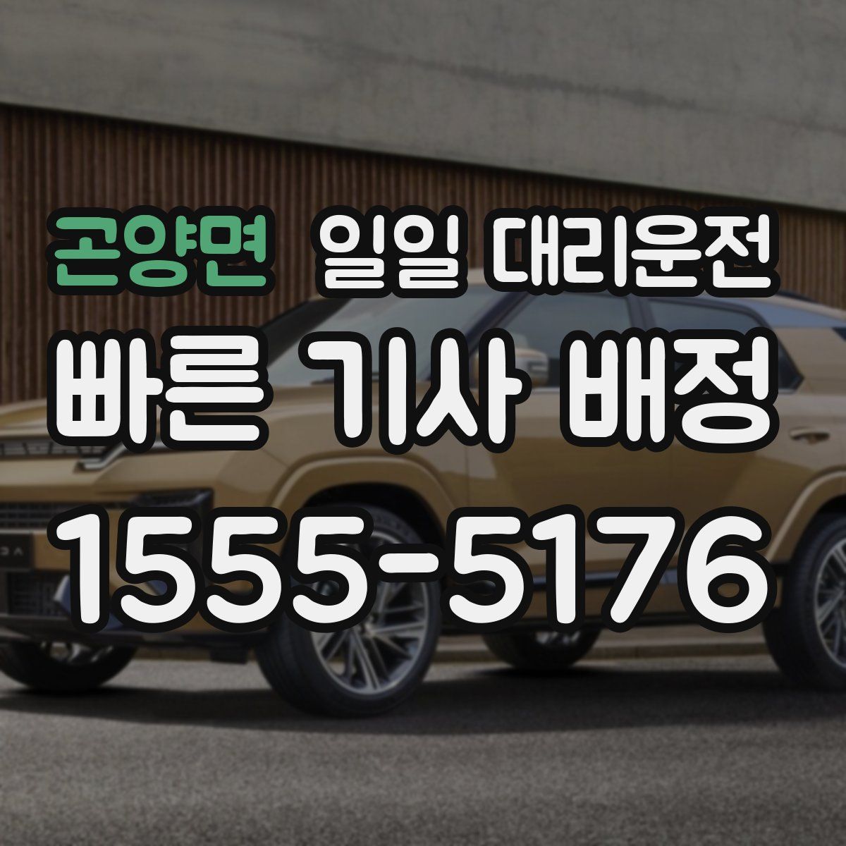 곤양면 일일 대리운전