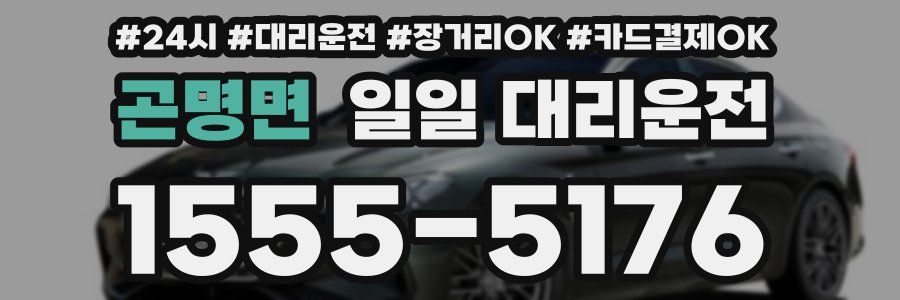 곤명면 일일 대리운전