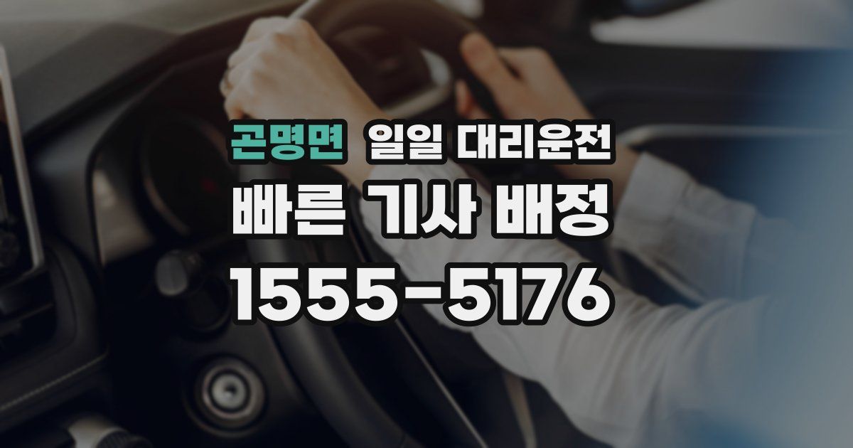 곤명면 일일 대리운전
