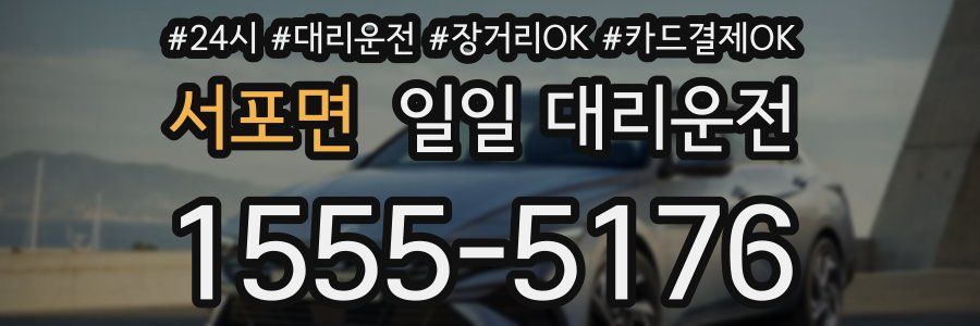 서포면 일일 대리운전