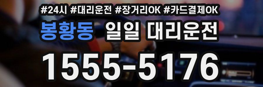 봉황동 일일 대리운전