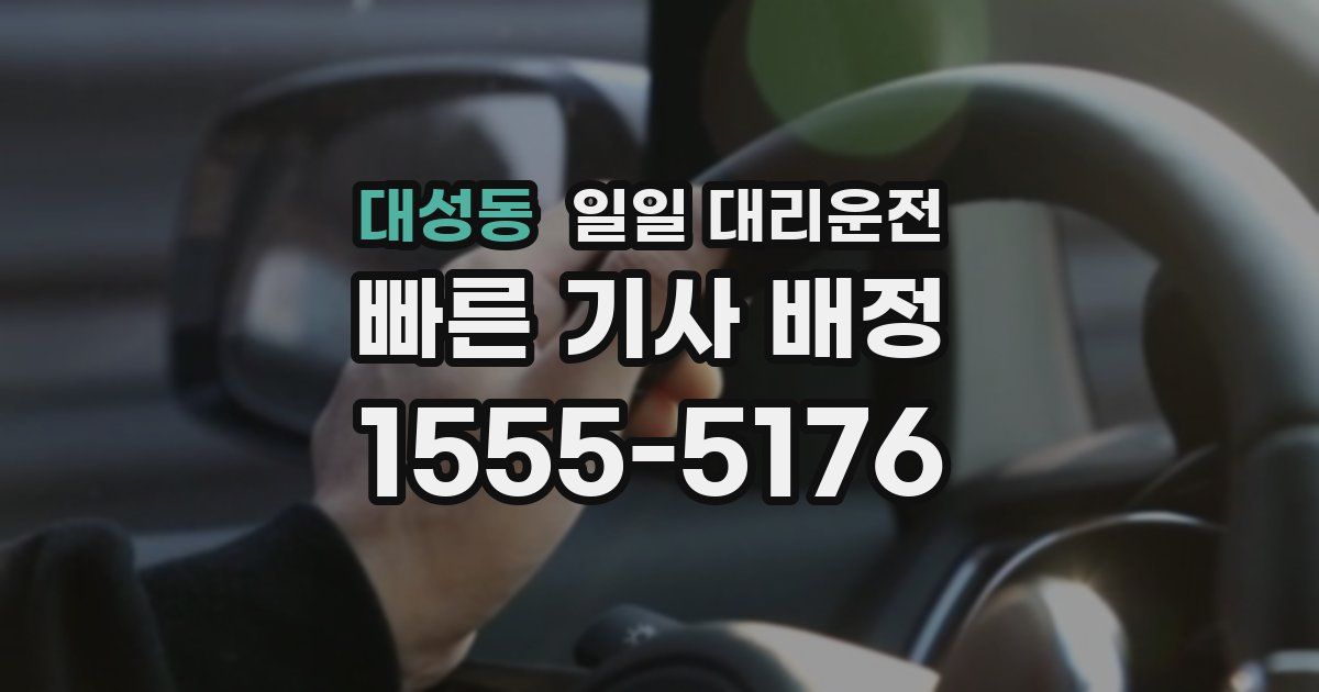 대성동 일일 대리운전