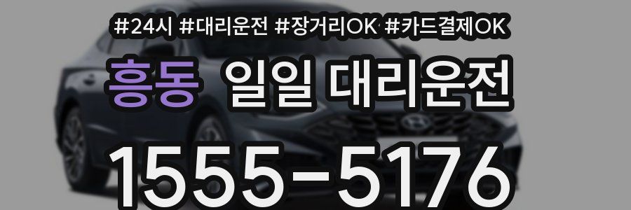 흥동 일일 대리운전