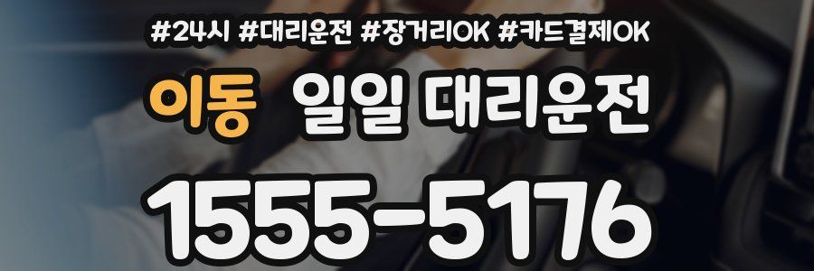 이동 일일 대리운전