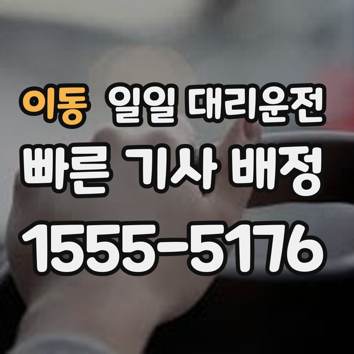 이동 일일 대리운전