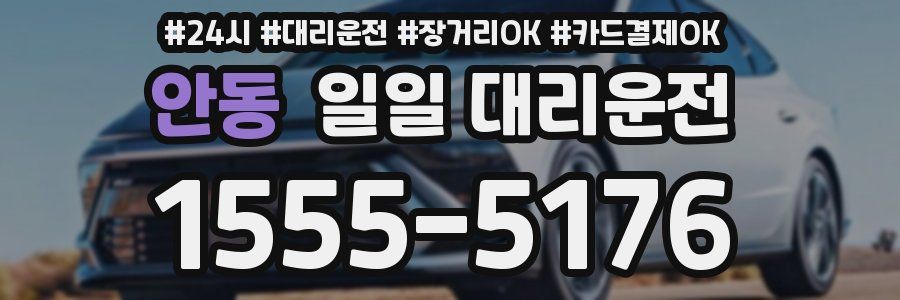 안동 일일 대리운전