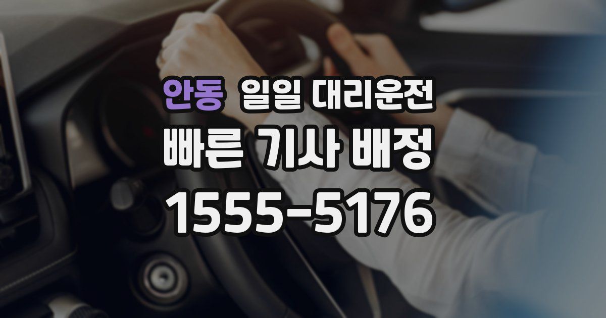 안동 일일 대리운전