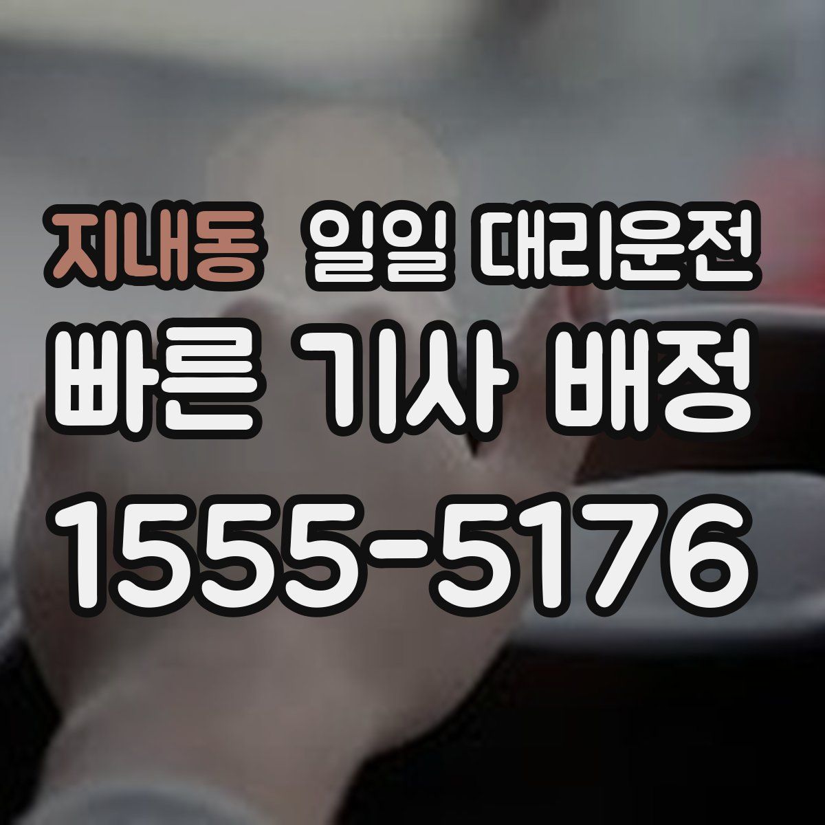 지내동 일일 대리운전