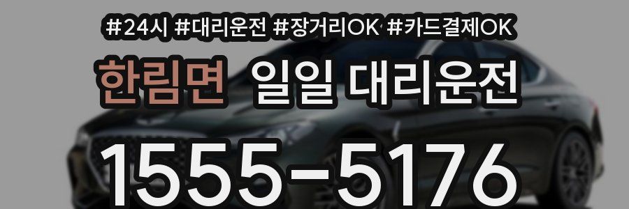 한림면 일일 대리운전