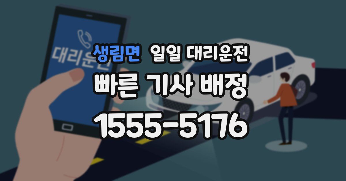 생림면 일일 대리운전