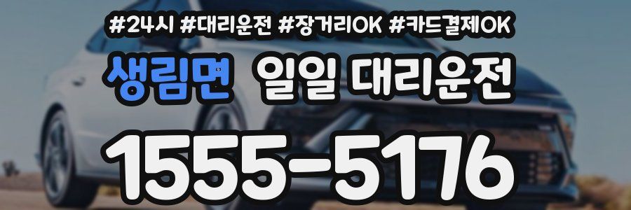 생림면 일일 대리운전