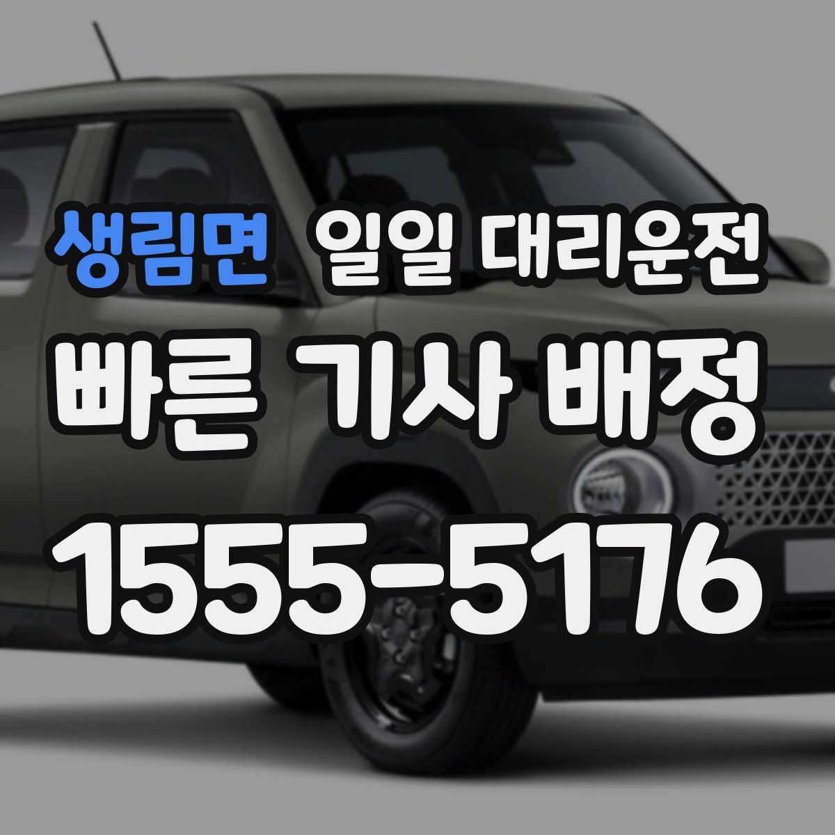 생림면 일일 대리운전