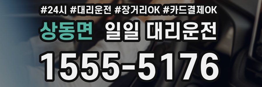 상동면 일일 대리운전
