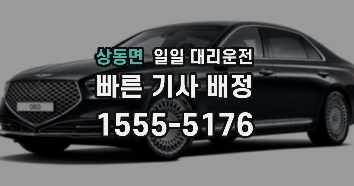 상동면 일일 대리운전