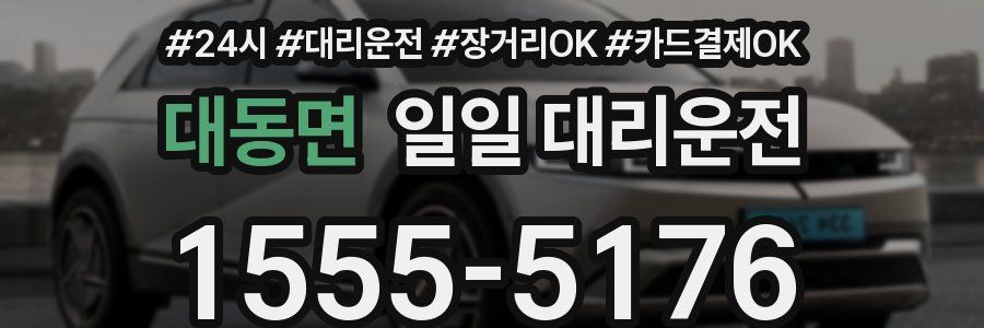 대동면 일일 대리운전