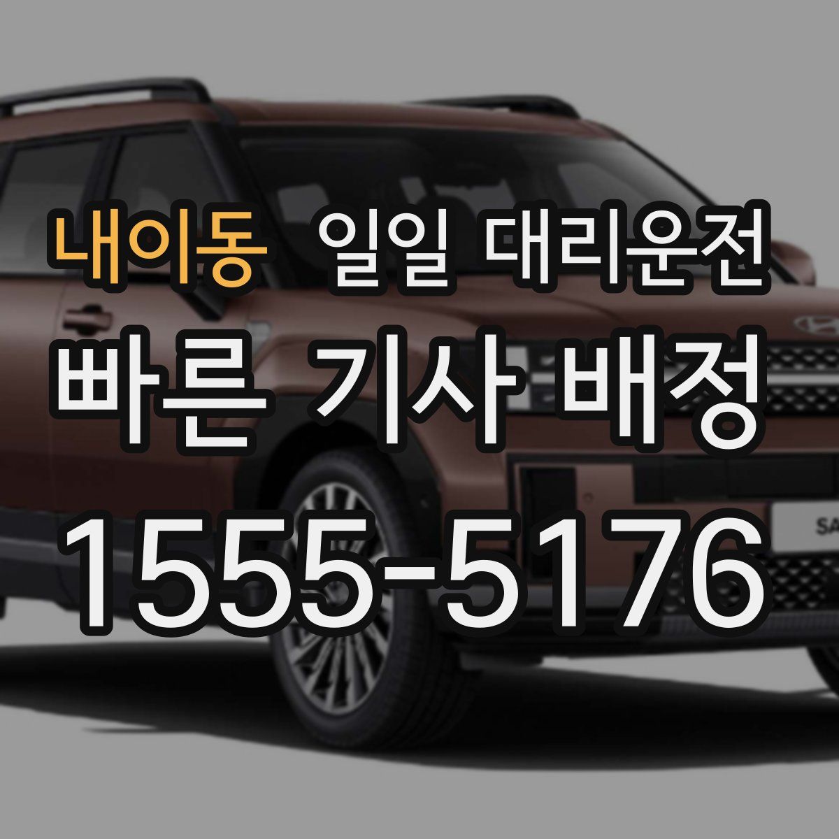 내이동 일일 대리운전