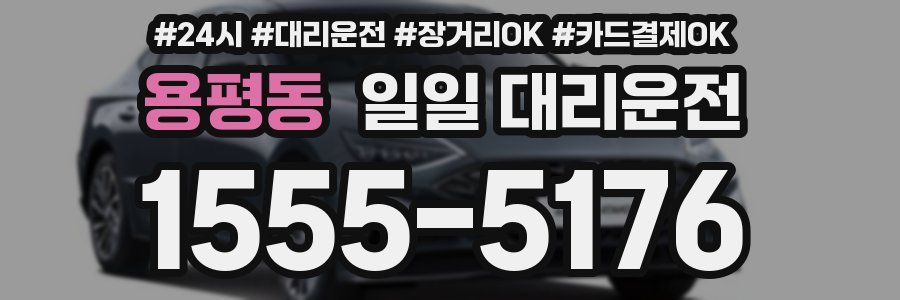 용평동 일일 대리운전