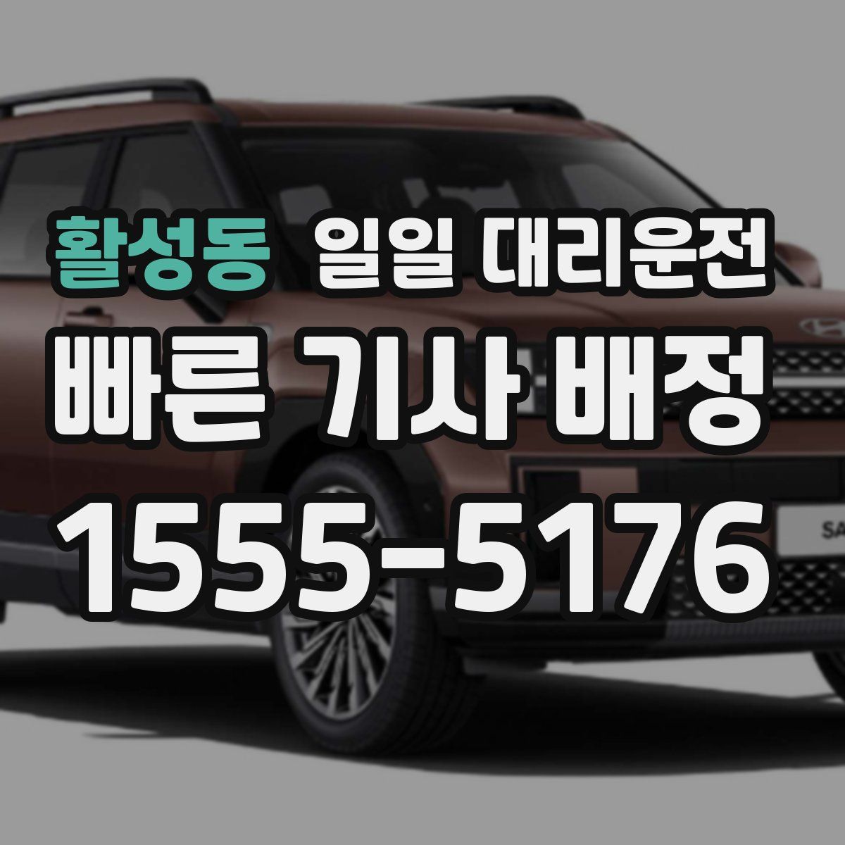 활성동 일일 대리운전