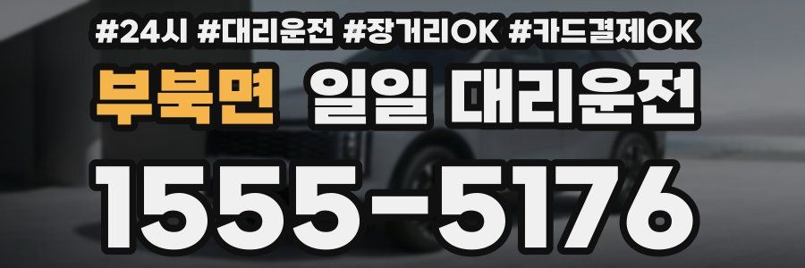 부북면 일일 대리운전