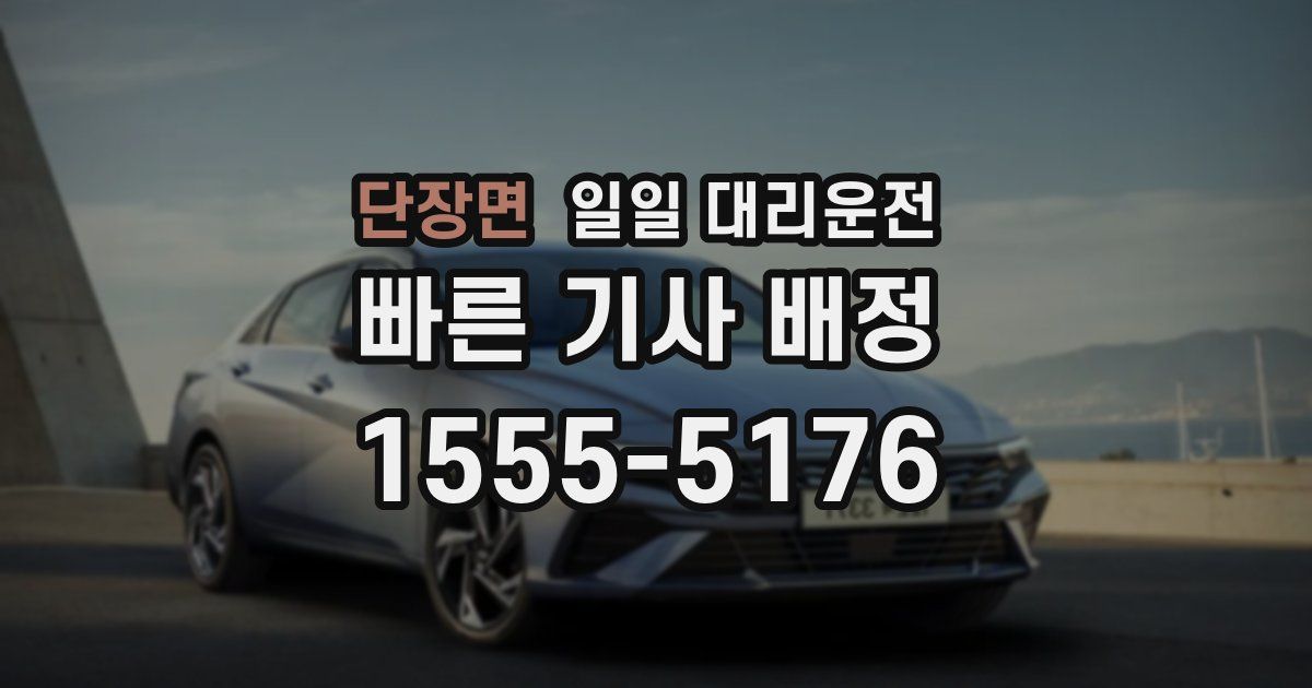 단장면 일일 대리운전