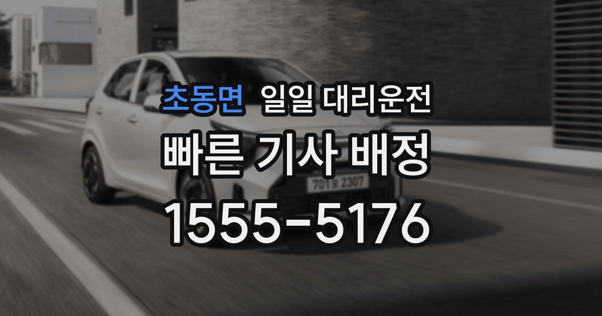 초동면 일일 대리운전