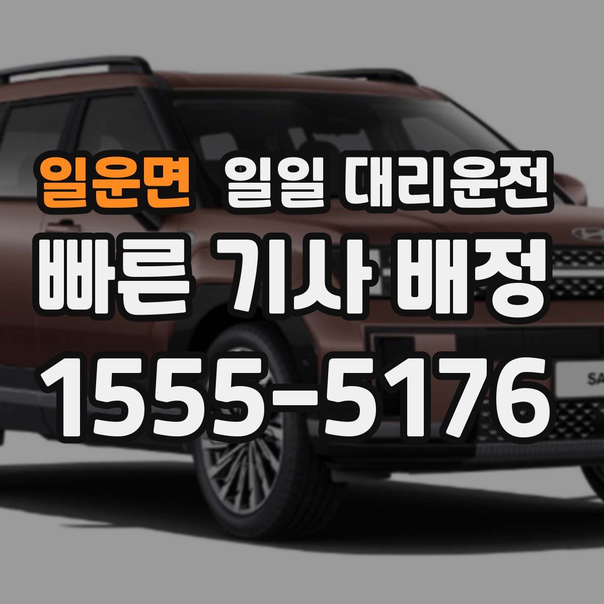 일운면 일일 대리운전