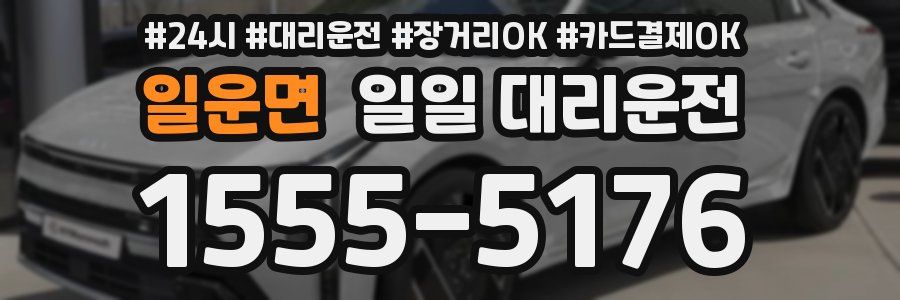 일운면 일일 대리운전