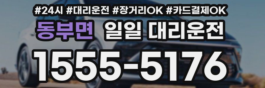 동부면 일일 대리운전