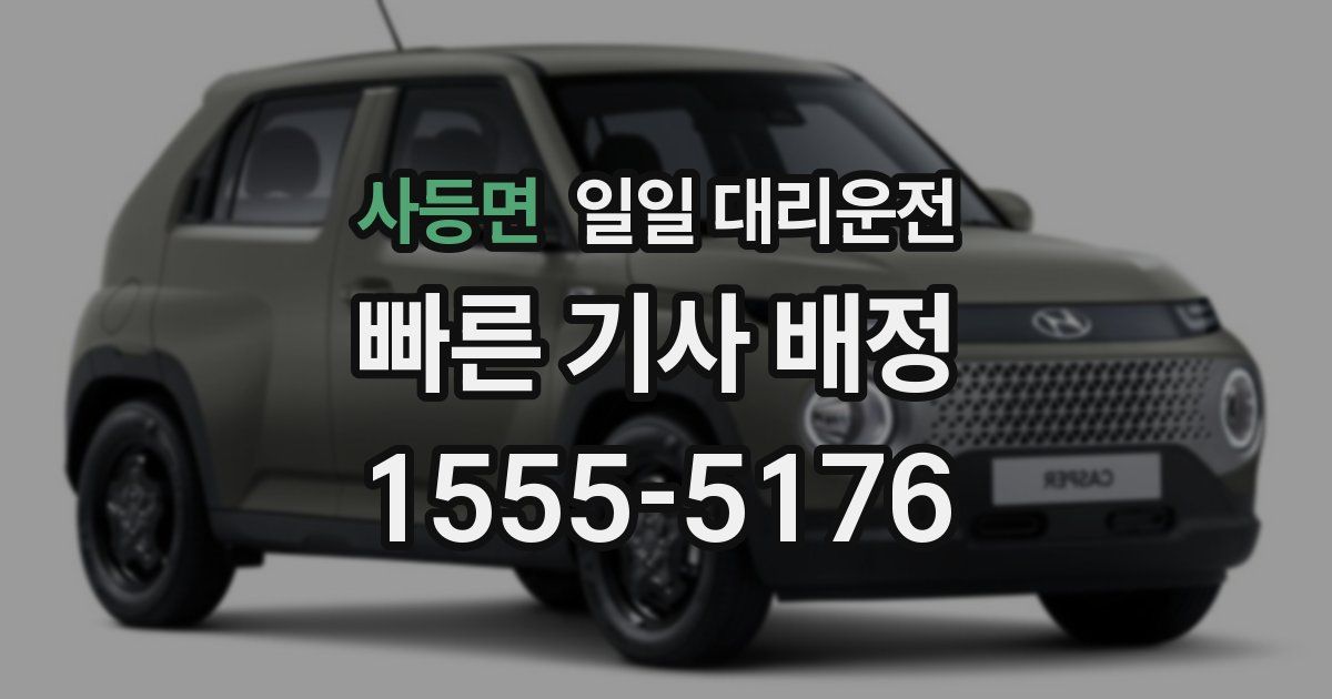 사등면 일일 대리운전