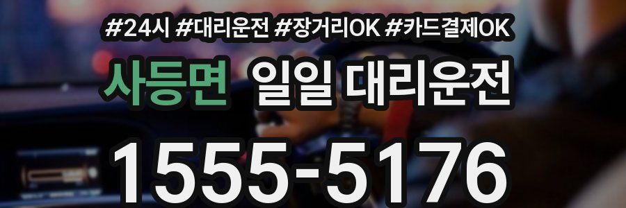 사등면 일일 대리운전