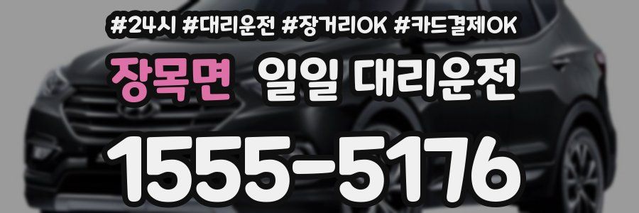 장목면 일일 대리운전