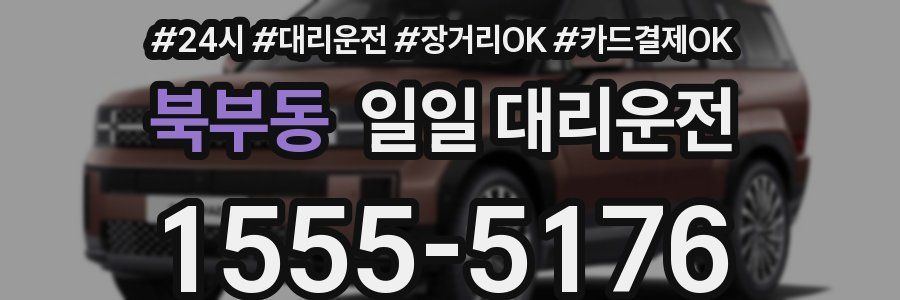 북부동 일일 대리운전