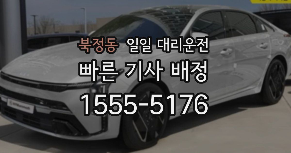 북정동 일일 대리운전