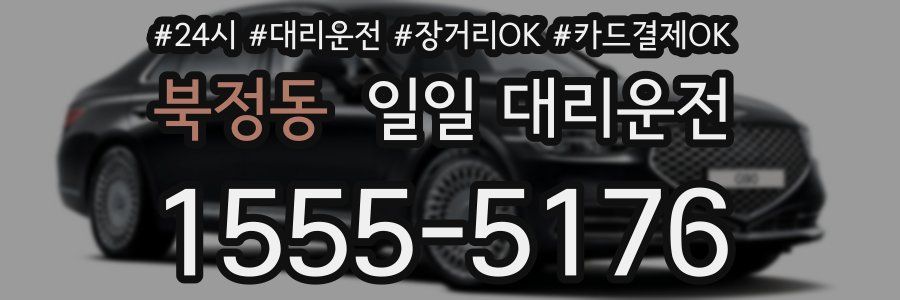 북정동 일일 대리운전