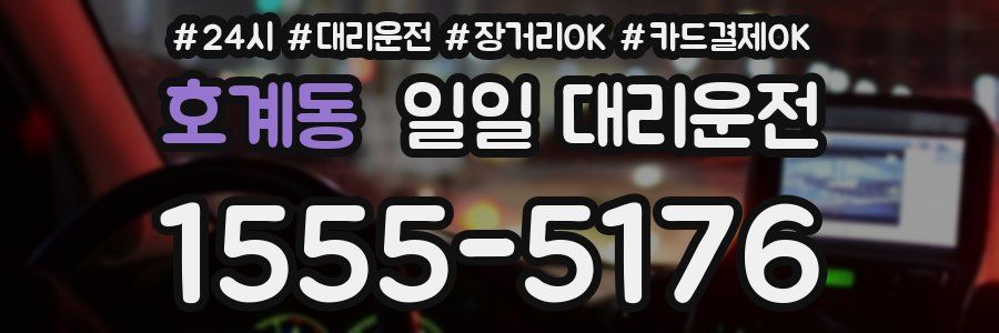 호계동 일일 대리운전