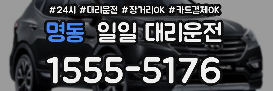 명동 일일 대리운전