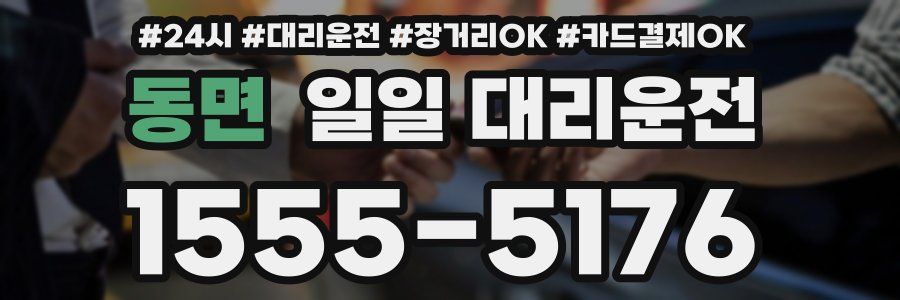 동면 일일 대리운전