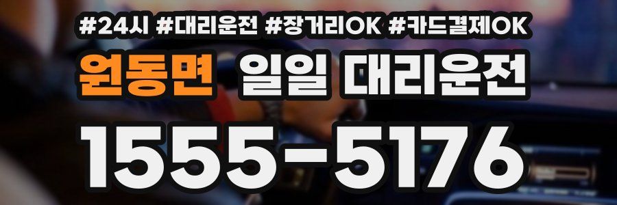 원동면 일일 대리운전