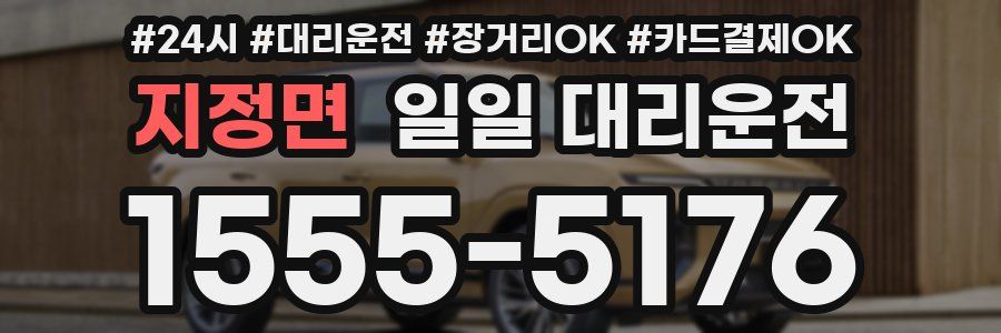 지정면 일일 대리운전