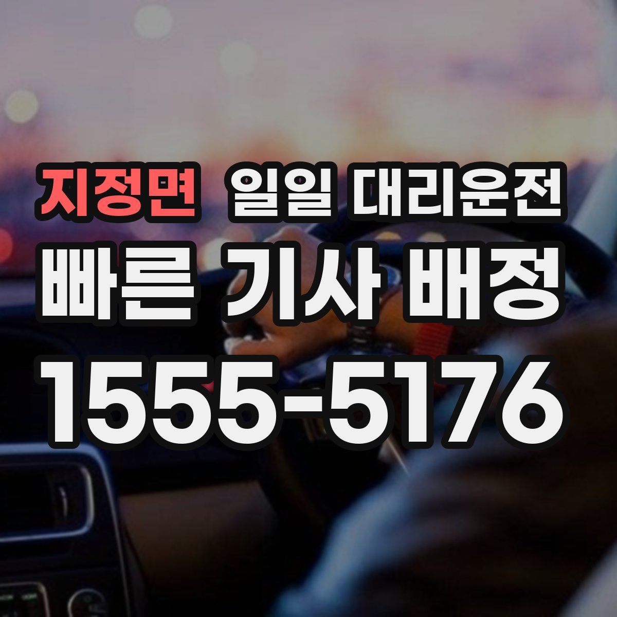 지정면 일일 대리운전