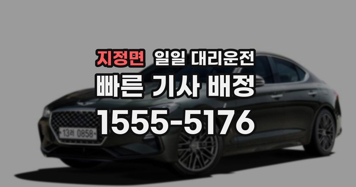 지정면 일일 대리운전
